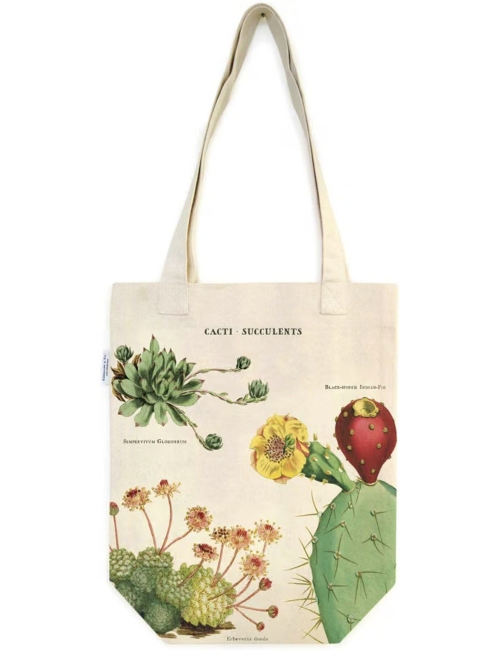 Cavallini and Co Cacti Succulents Vintage Cotton Tote Bag